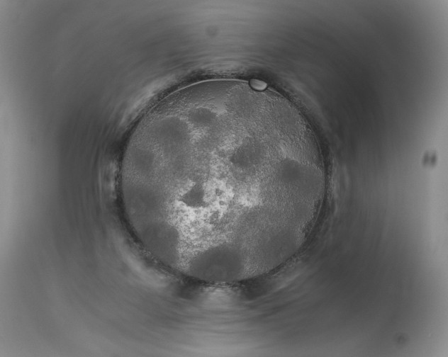 X0000114190115200910231329