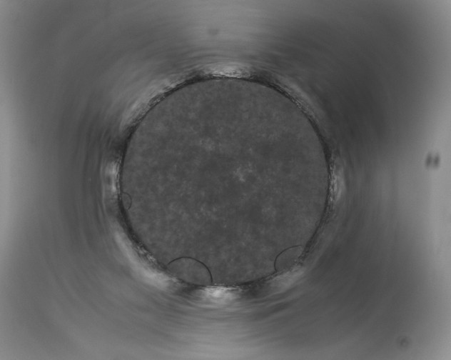 X0000114190117200910231329