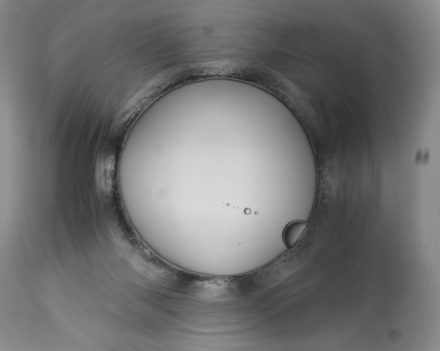 X0000114190118200910231329