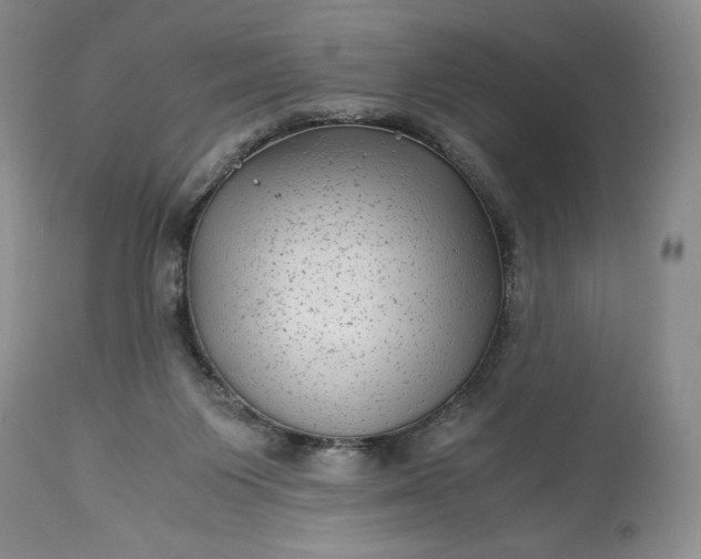 X0000114190119200910231329