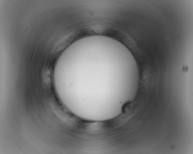 X0000114190122200910231329