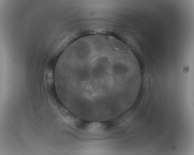 X0000114190123200910231329