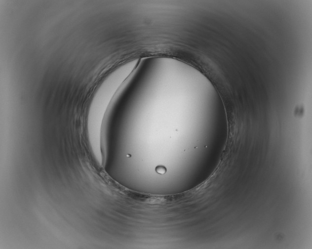 X0000114190124200910231329