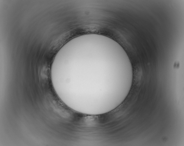 X0000114190126200910231329