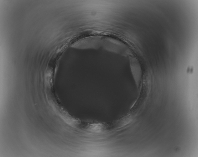 X0000114190127200910231329