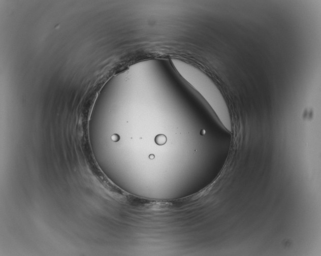 X0000114190128200910231329