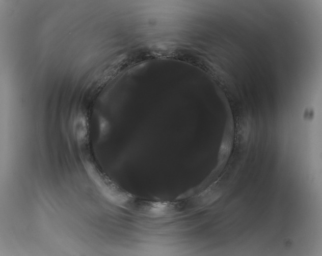 X0000114190130200910231329