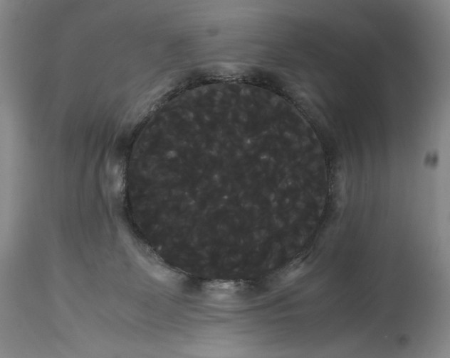 X0000114190131200910231329