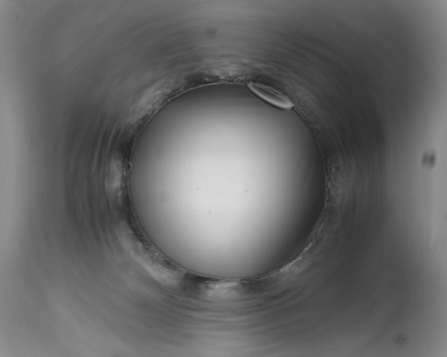 X0000114190132200910231329