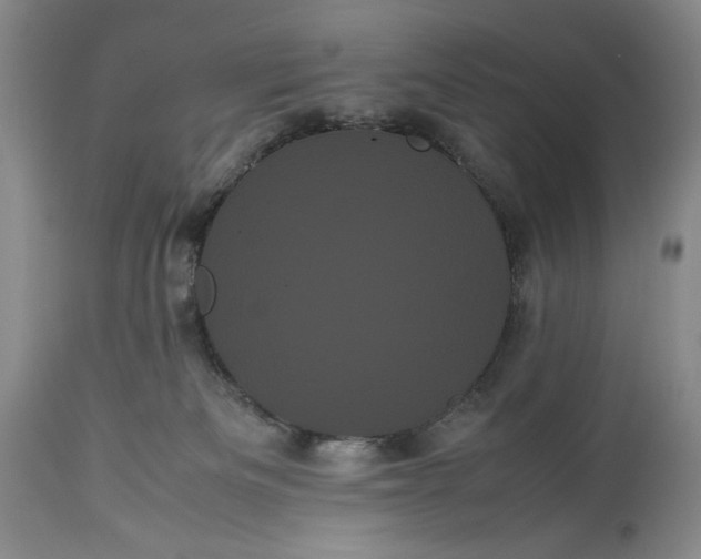 X0000114190133200910231329
