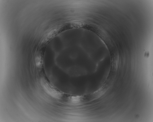 X0000114190134200910231329