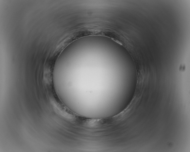 X0000114190136200910231329