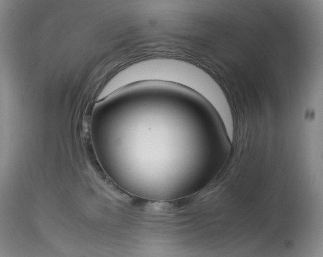 X0000114190137200910231329