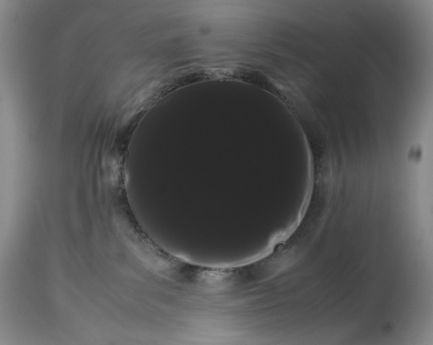 X0000114190139200910231329