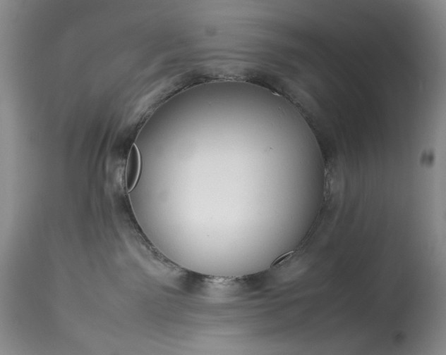 X0000114190141200910231329