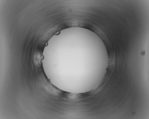 X0000114190142200910231329