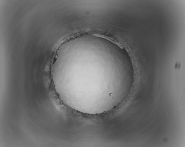 X0000114190144200910231329
