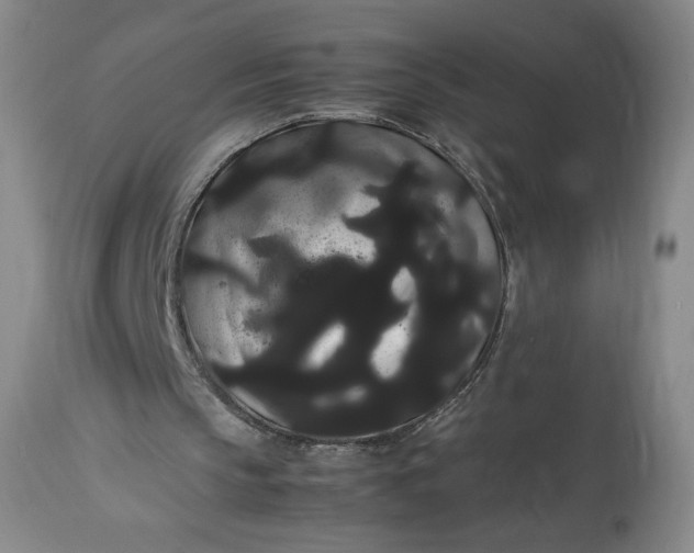 X0000114190145200910231328