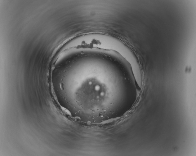 X0000114190146200910231328
