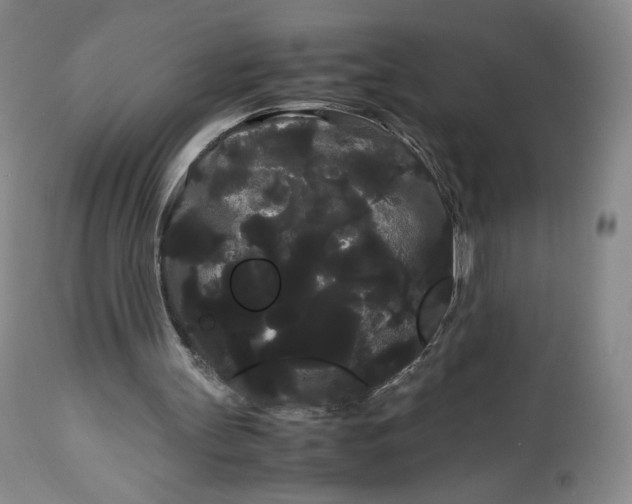 X0000114190147200910231328