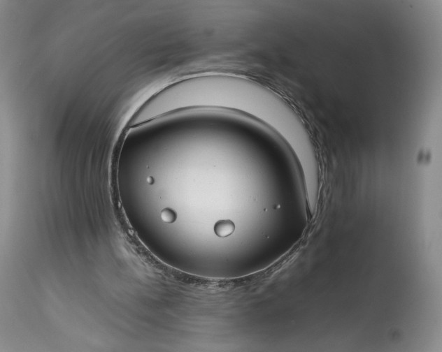 X0000114190148200910231328