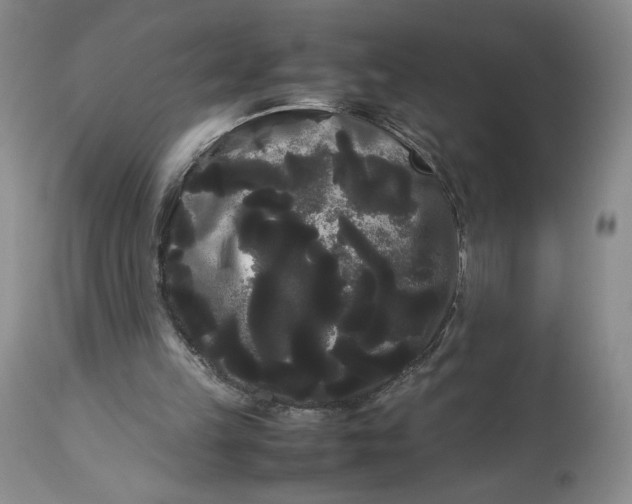 X0000114190149200910231328