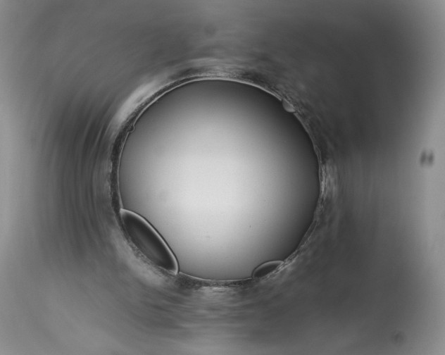 X0000114190150200910231328