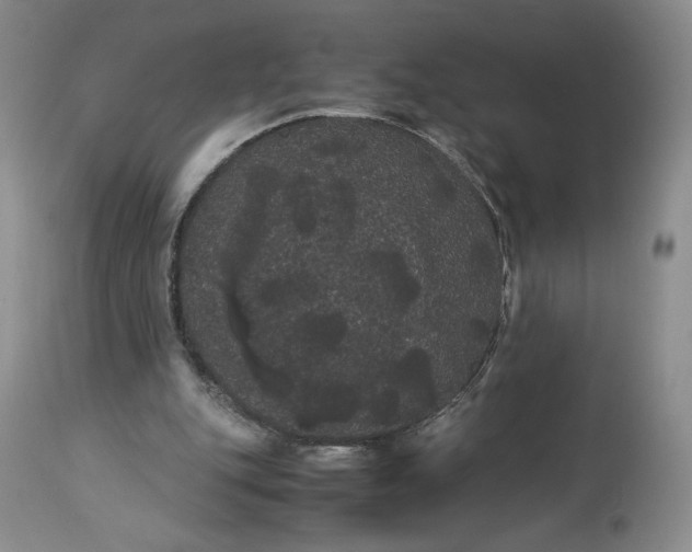 X0000114190151200910231328