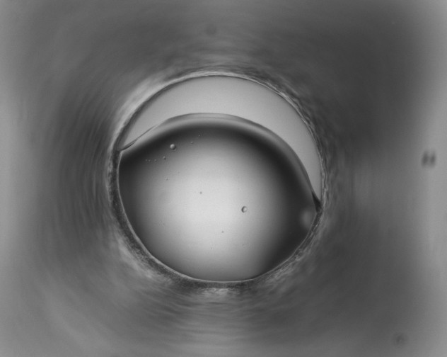 X0000114190152200910231329