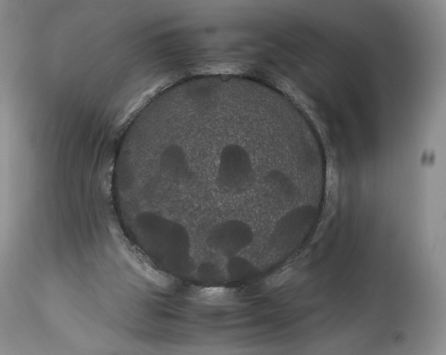 X0000114190153200910231329