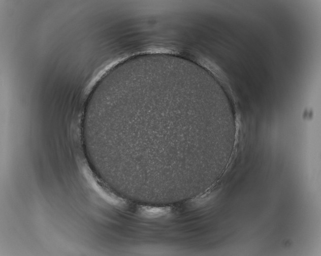X0000114190155200910231329