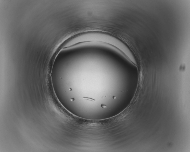 X0000114190156200910231329