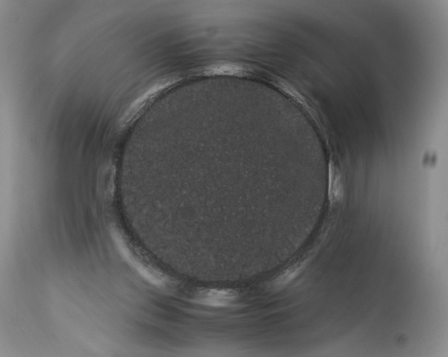 X0000114190157200910231329