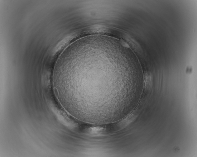 X0000114190158200910231329