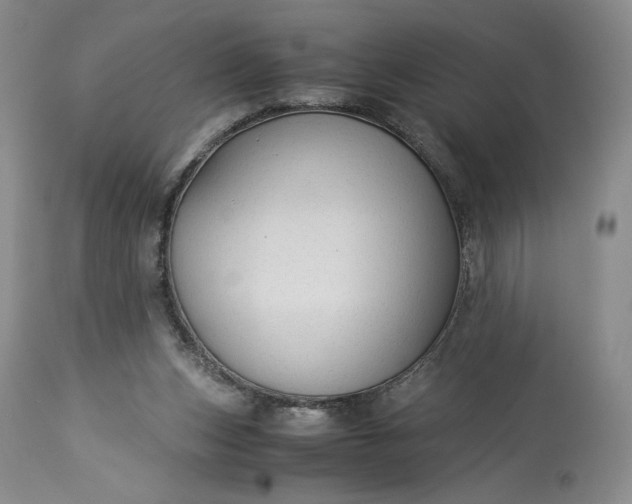 X0000114190159200910231329