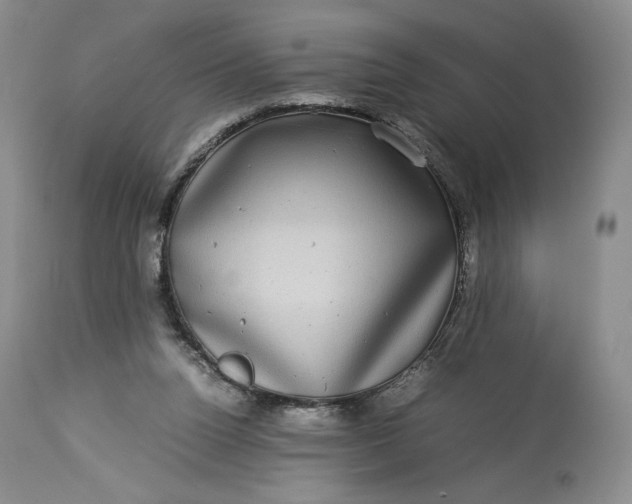 X0000114190160200910231329
