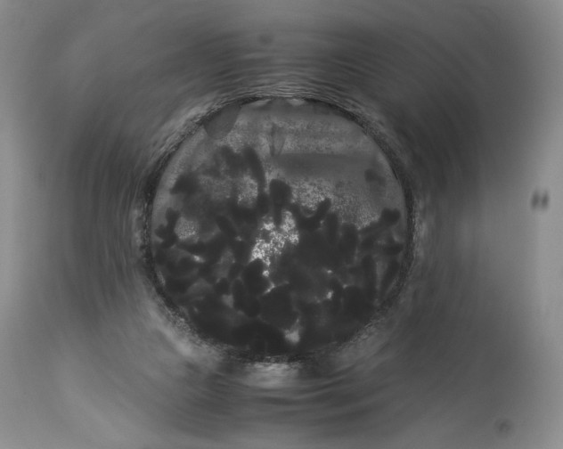X0000114190161200910231329