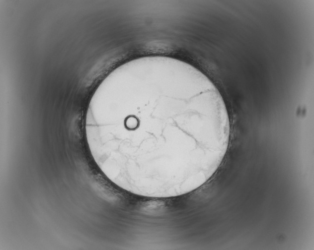 X0000114190162200910231329