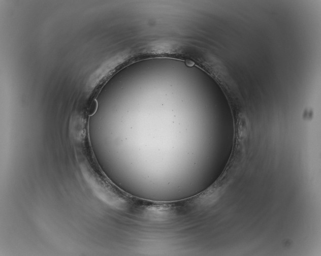 X0000114190164200910231329