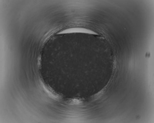 X0000114190166200910231329