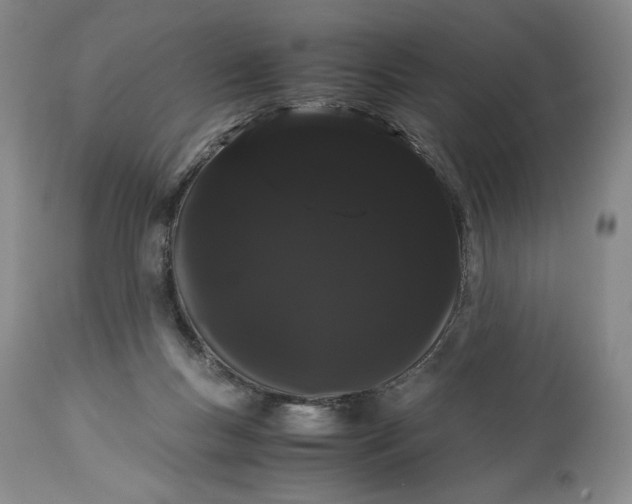 X0000114190167200910231329