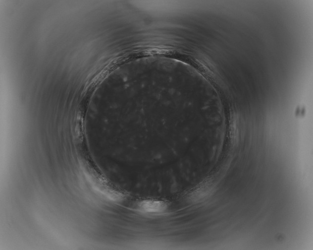 X0000114190169200910231329