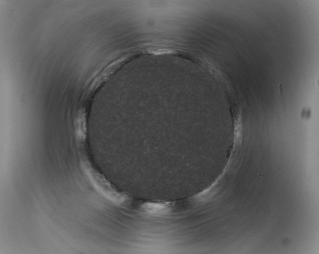 X0000114190170200910231329