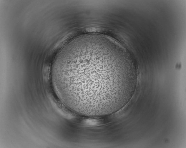 X0000114190171200910231329