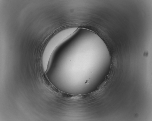 X0000114190172200910231329