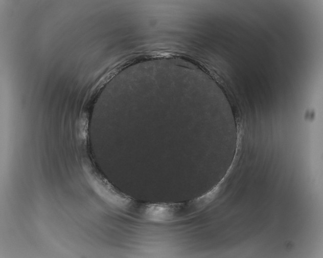 X0000114190174200910231329
