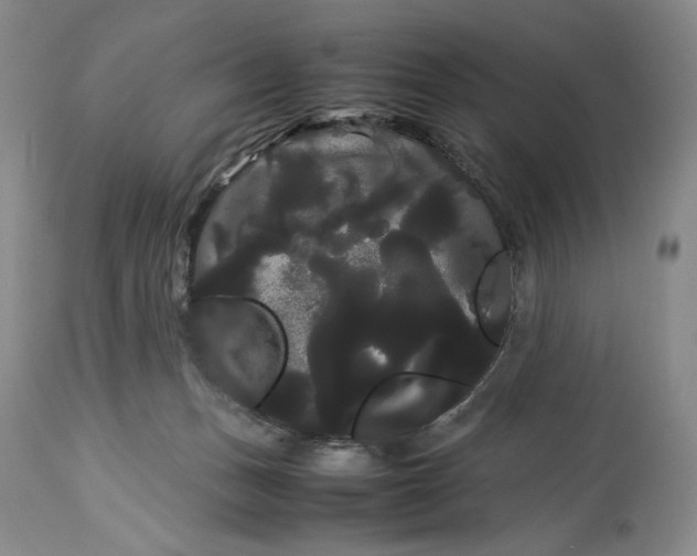 X0000114190175200910231329