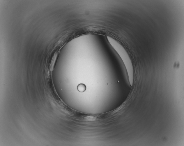 X0000114190176200910231329