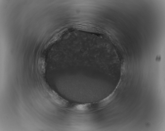 X0000114190178200910231329