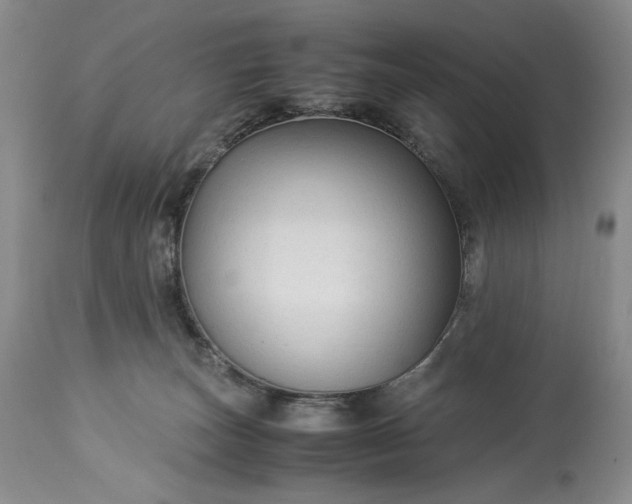 X0000114190179200910231329